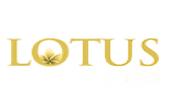 Black Lotus Casino