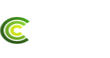 Cyber Club Casino