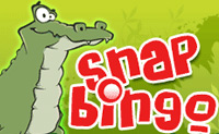 Snap Bingo