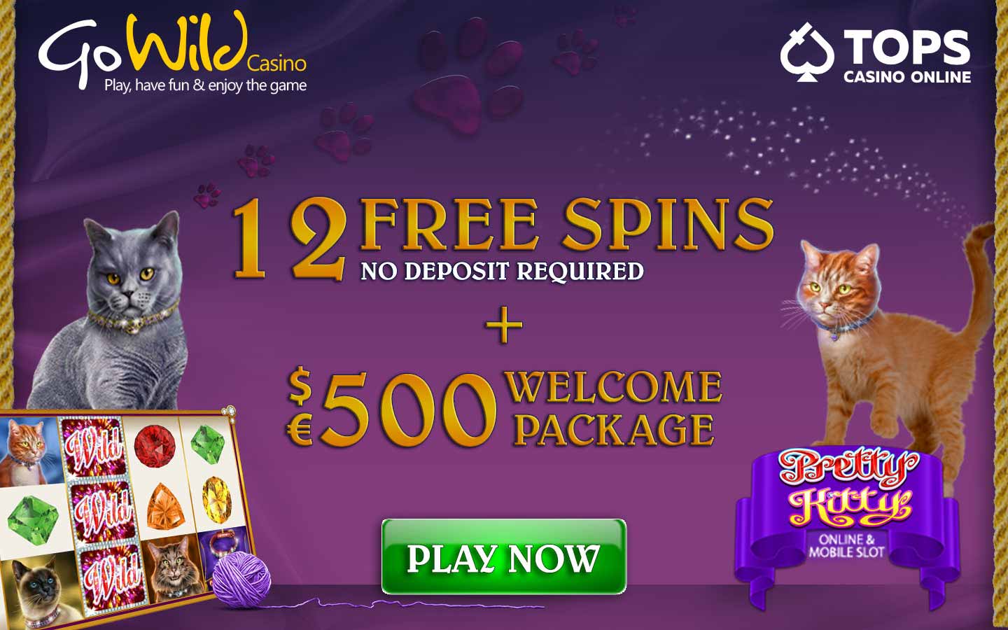 Pretty Kitty promotion at Gowild casino