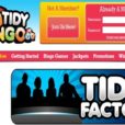 Have You Got The Tidy Factor?